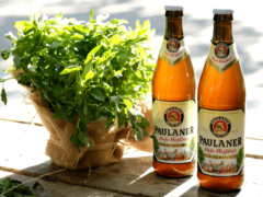 Dos botellas de Paulaner Hefe-Weißbier junto a una planta fresca, colocadas sobre una mesa de madera iluminada por luz natural.